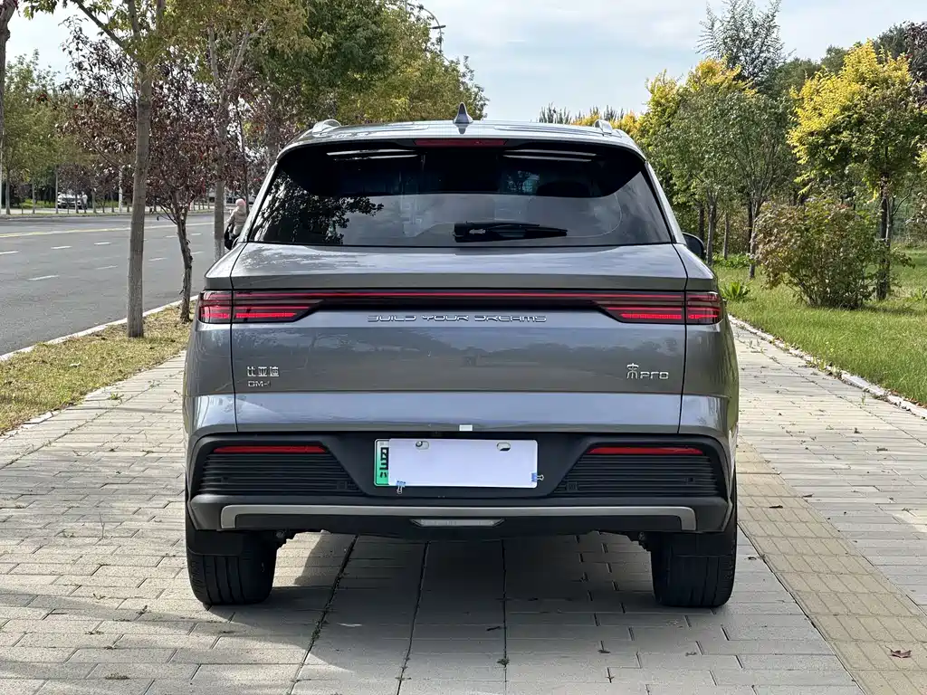 BYD Pro New Energy — миниатюра 5