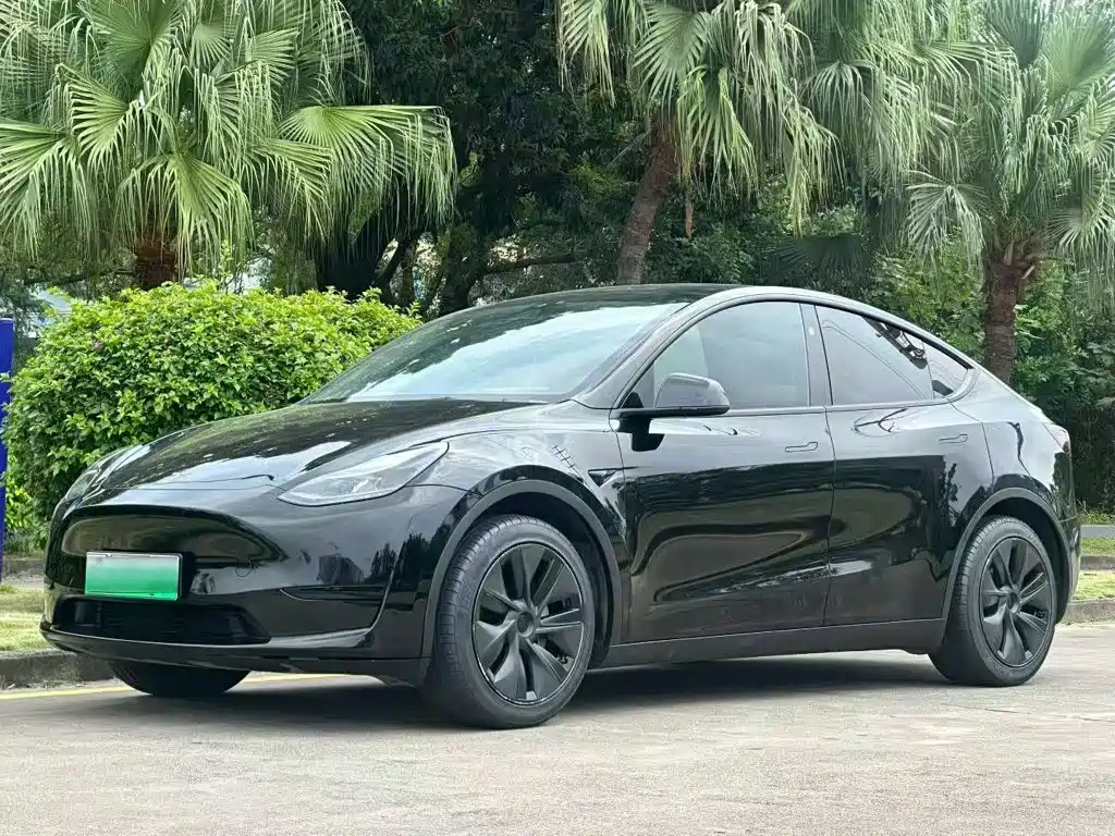 Tesla Model Y — миниатюра 2