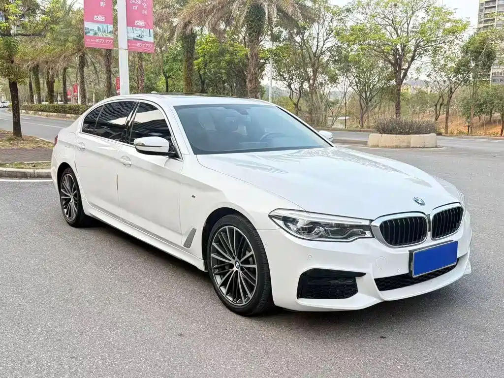 BMW 5 Series — миниатюра 2
