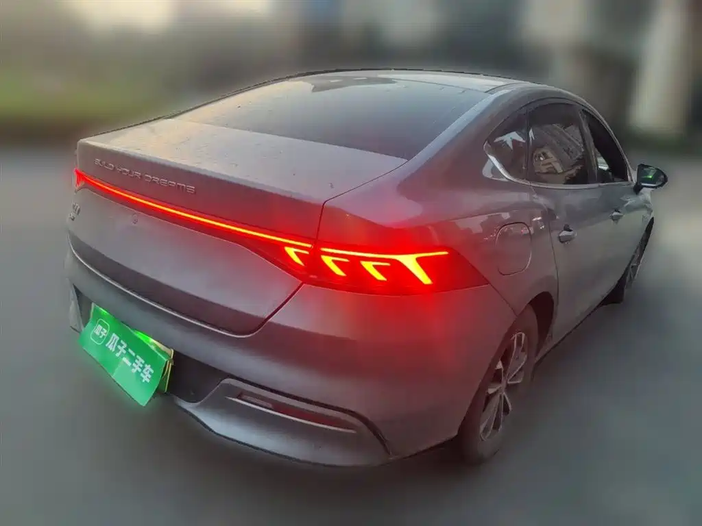 BYD Qin Plus PLUS 2024 DM-i 55KM Lead