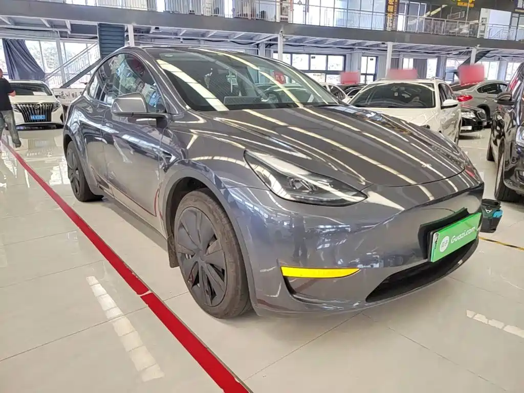 Tesla Model Y — миниатюра 4