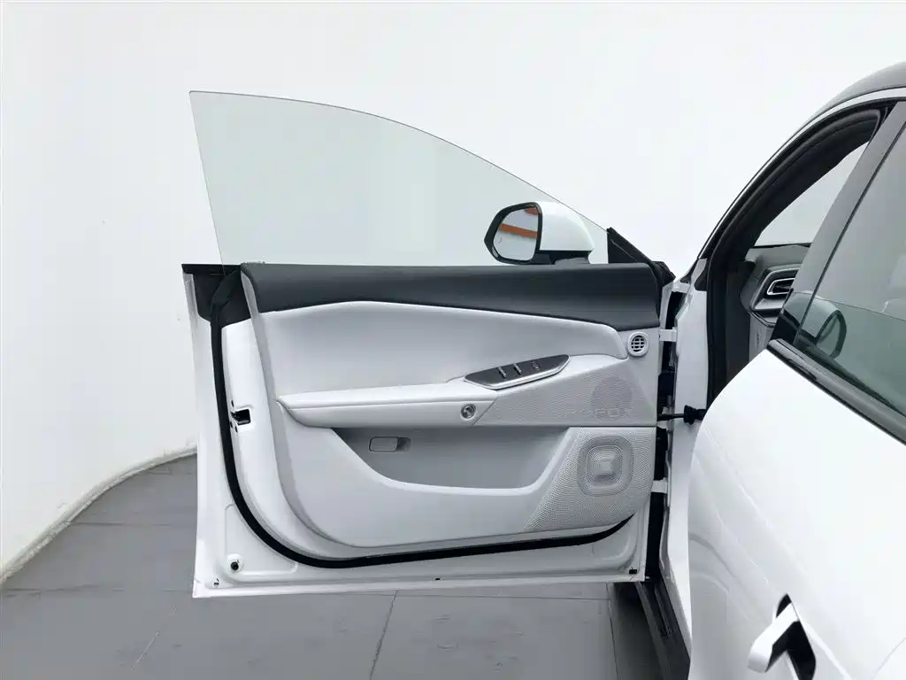 ARCFOX EXTREME FOX POLAR FOX ALPHA S5