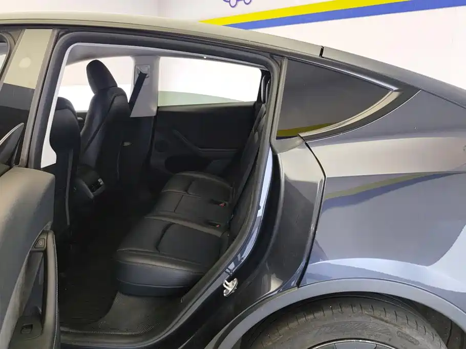Tesla Model Y — миниатюра 11