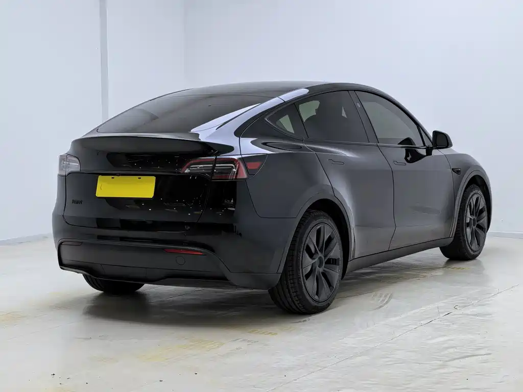 Tesla Model Y — миниатюра 9
