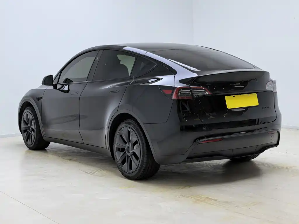 Tesla Model Y — миниатюра 11