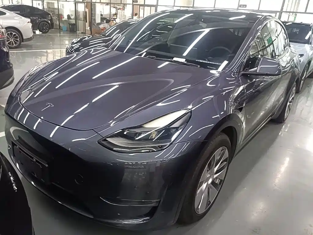 Tesla Model Y — миниатюра 2