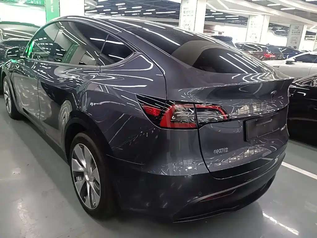 Tesla Model Y — миниатюра 5