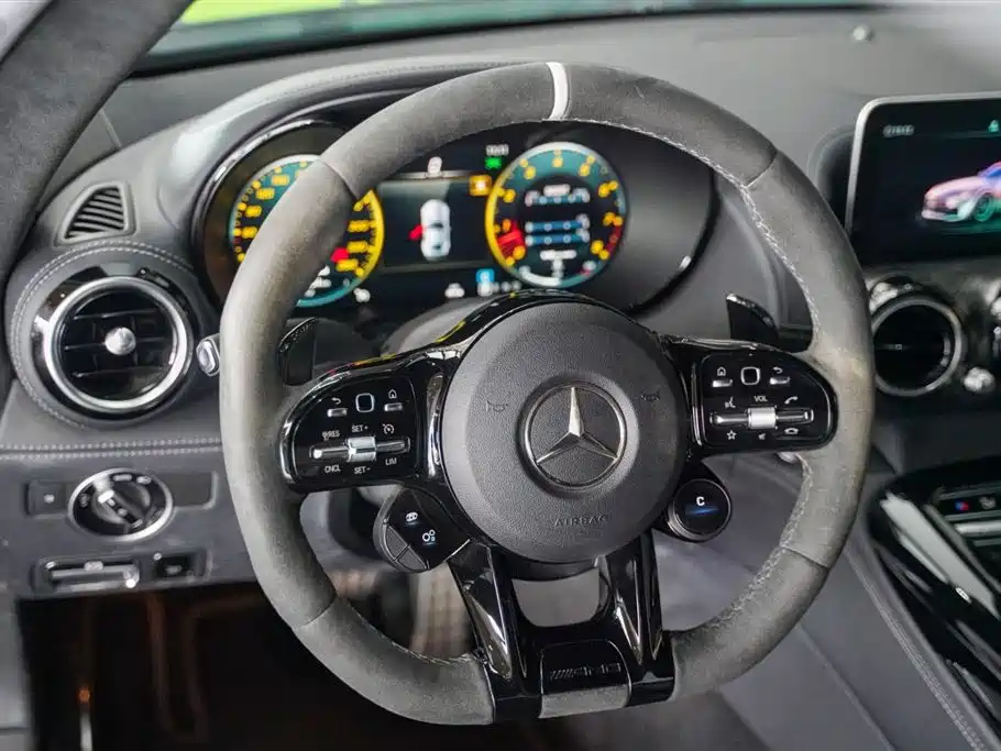 Mercedes-Benz AMG GT AMG GT R PRO, фото 21