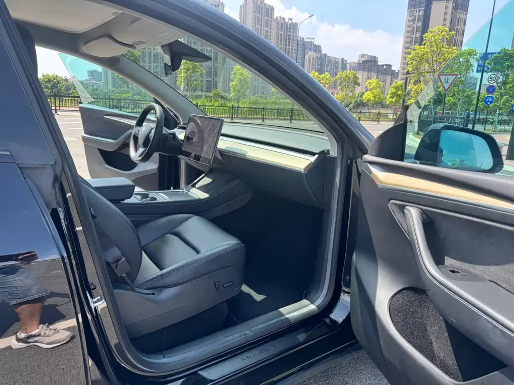 Tesla Model Y — миниатюра 8