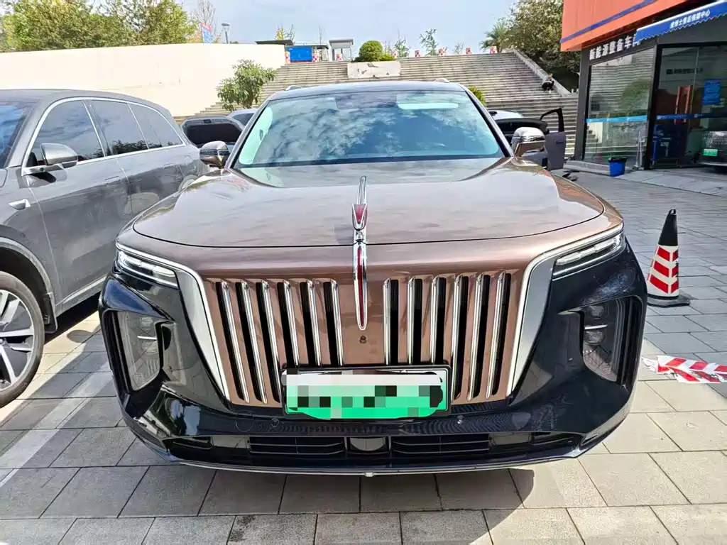 Hongqi Hongqi E-HS9 — миниатюра 2