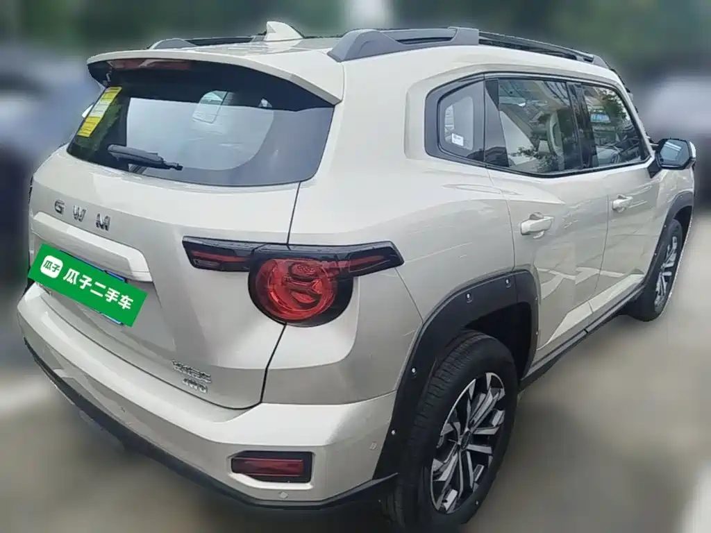 Haval Big Dog PLUS — миниатюра 5