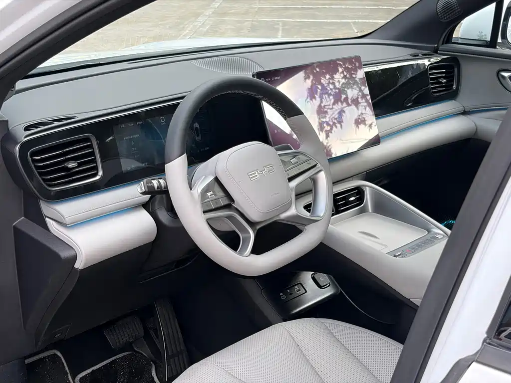 BYD Sealion 06 — миниатюра 7