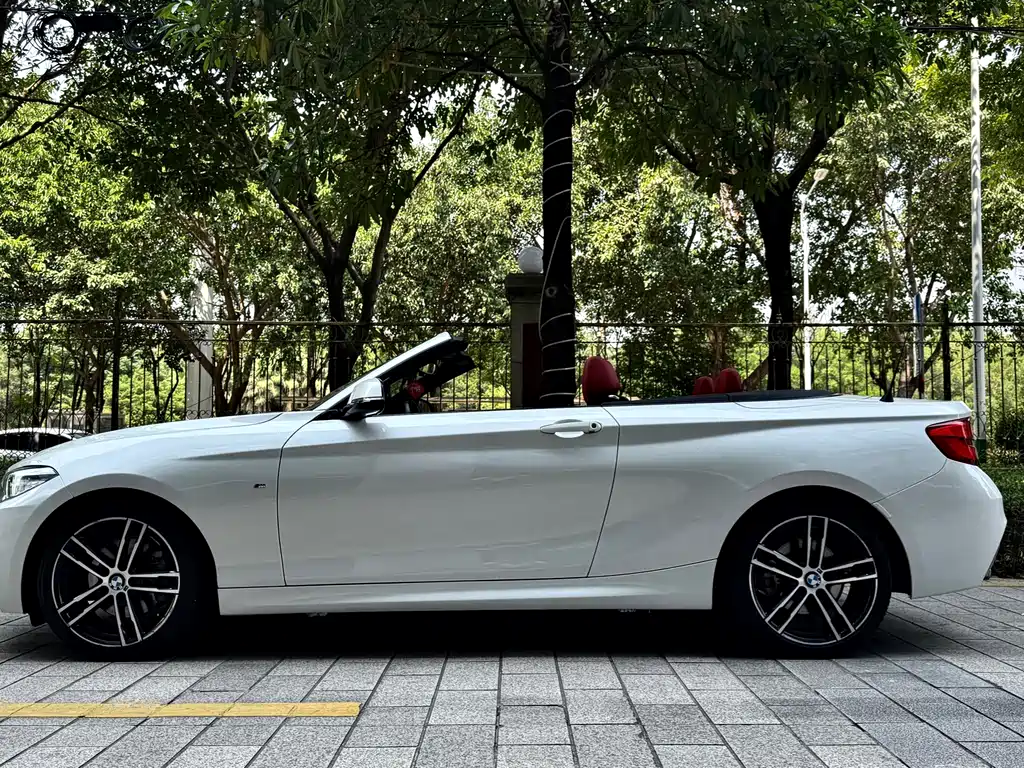 BMW 2 Series (Import) — миниатюра 5