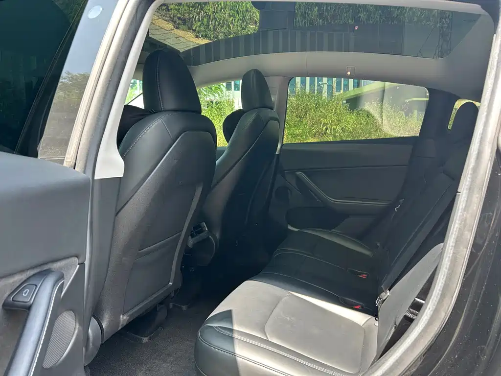 Tesla Model Y — миниатюра 6