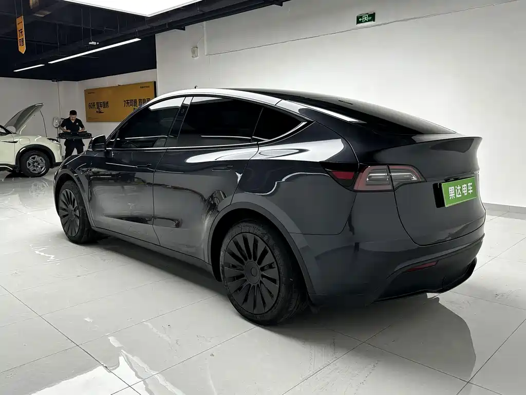 Tesla Model Y — миниатюра 6
