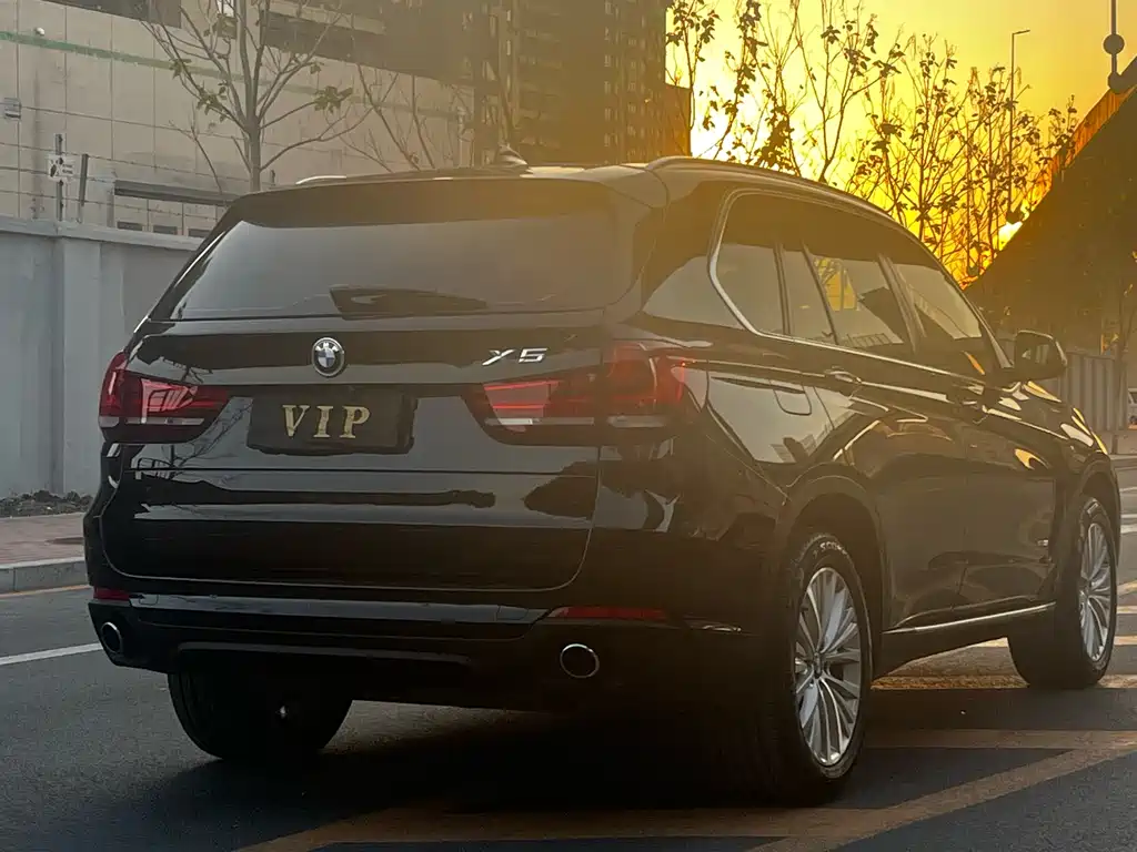 BMW X5 2014 xDrive35i Lead