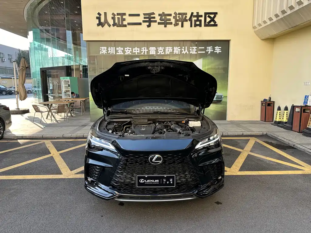 LEXUS RX
