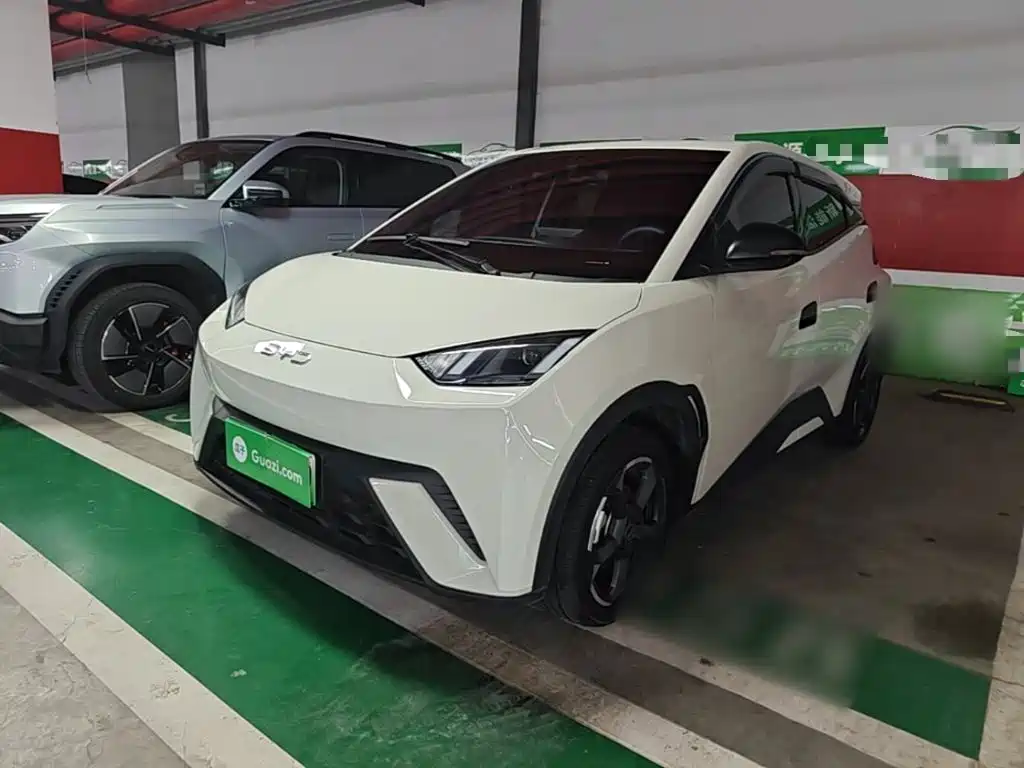 BYD Seagull 2023 Flying