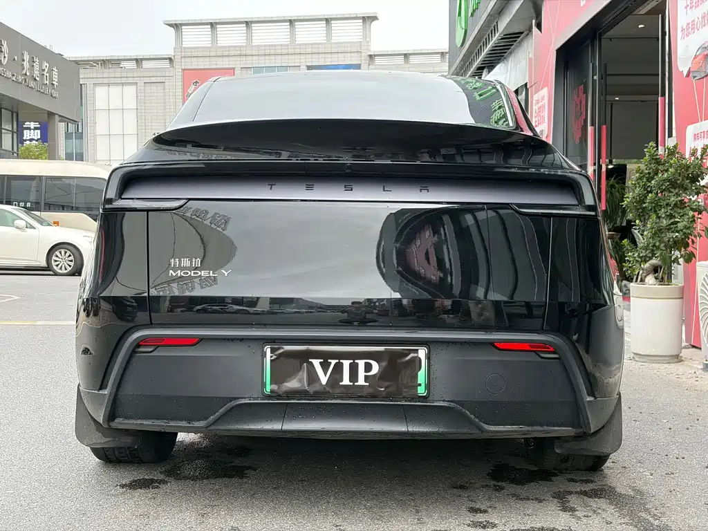 Tesla Model Y — миниатюра 8
