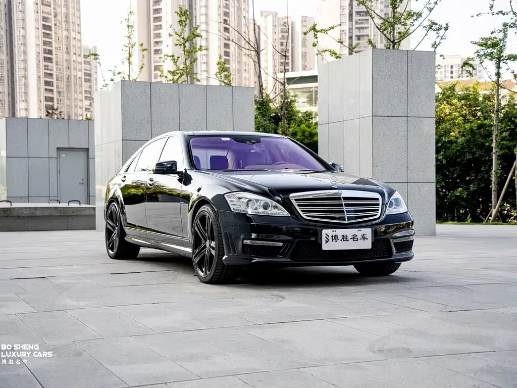 Mercedes-Benz S-Class A MG S AMG 2010 AMG S 65