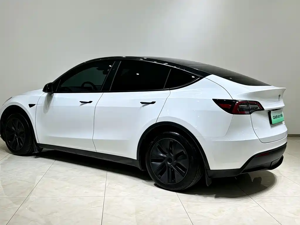 Tesla Model Y — миниатюра 21