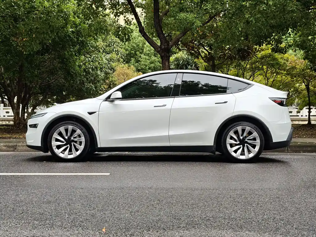 Tesla Model Y — миниатюра 15