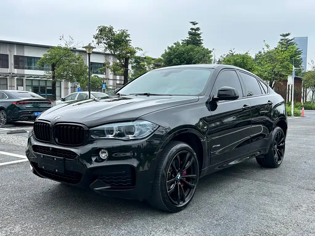 BMW X6 2019