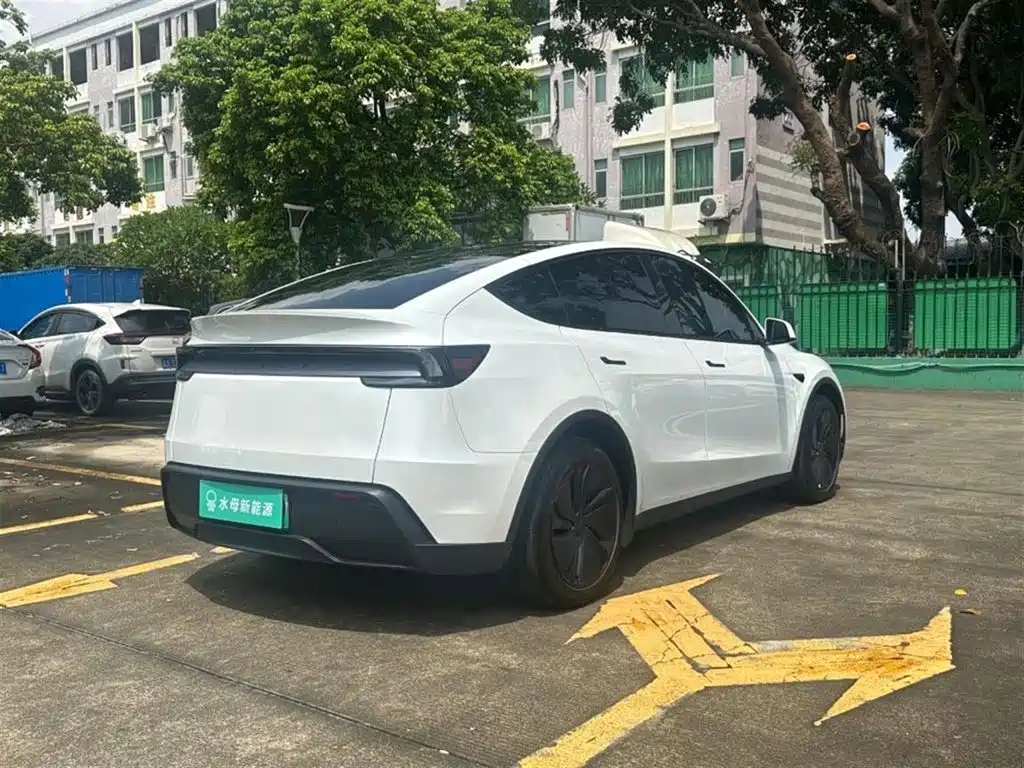 Tesla Model Y — миниатюра 12