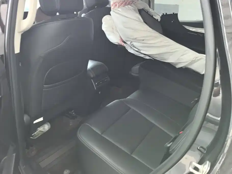 Haval Big Dog PLUS — миниатюра 11