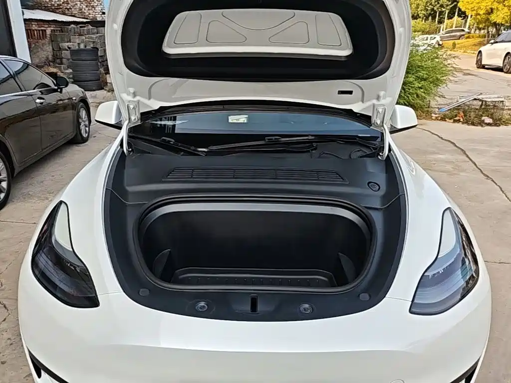 Tesla Model Y — миниатюра 20