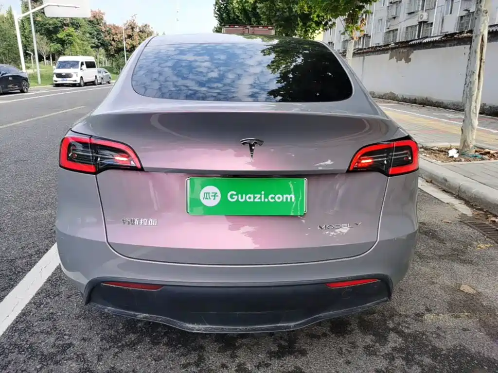 Tesla Model Y — миниатюра 6