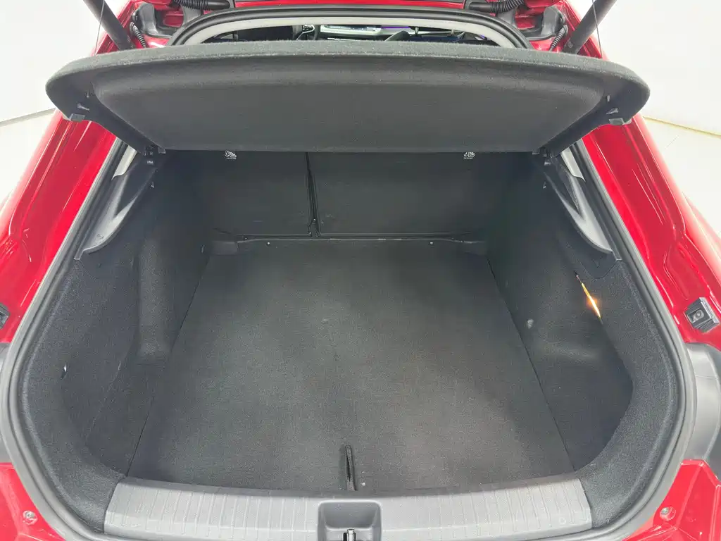 Volkswagen Lamando — миниатюра 26
