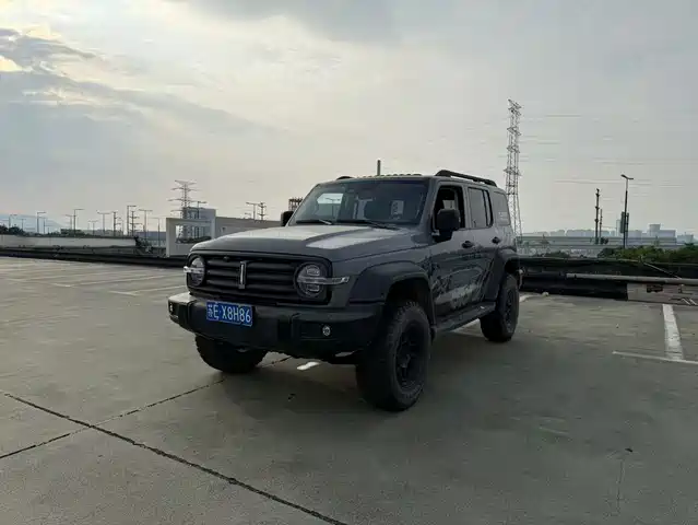 2021 TANK 300
