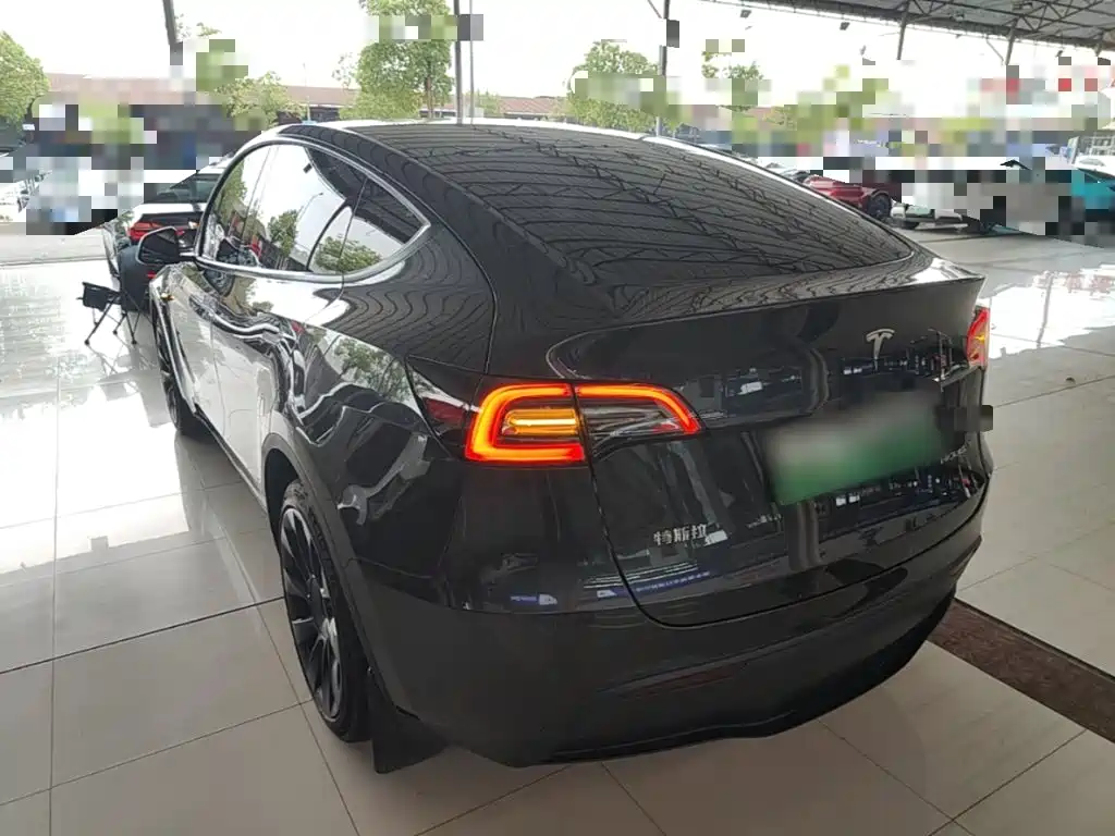 Tesla Model Y — миниатюра 5