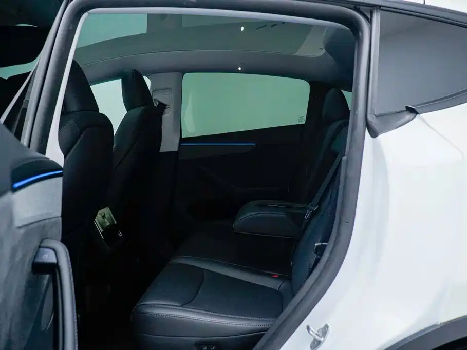 Tesla Model Y — миниатюра 5