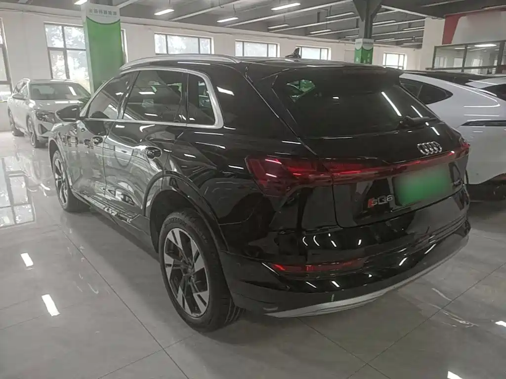 Audi e-tron (Import) — миниатюра 5