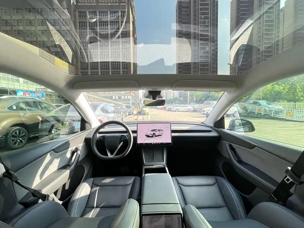 Tesla Model Y — миниатюра 17