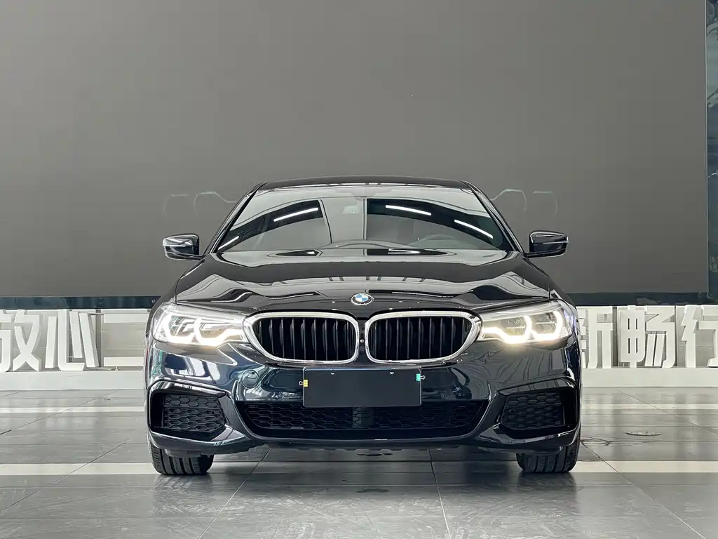 BMW 5 Series — миниатюра 2