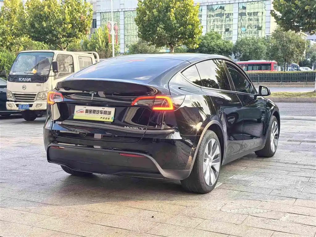 Tesla Model Y — миниатюра 7