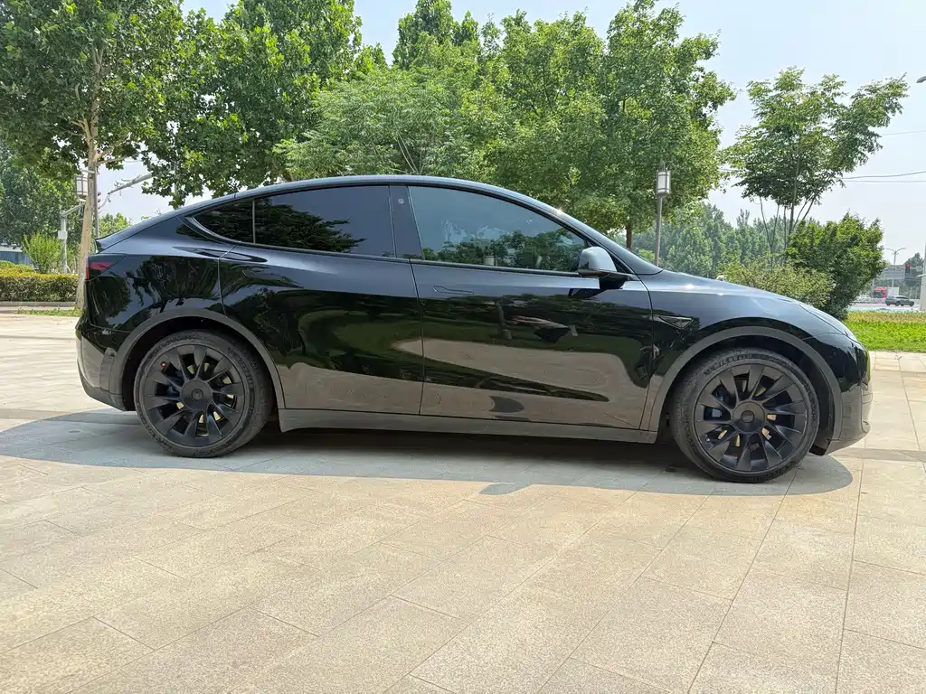 Tesla Model Y — миниатюра 4