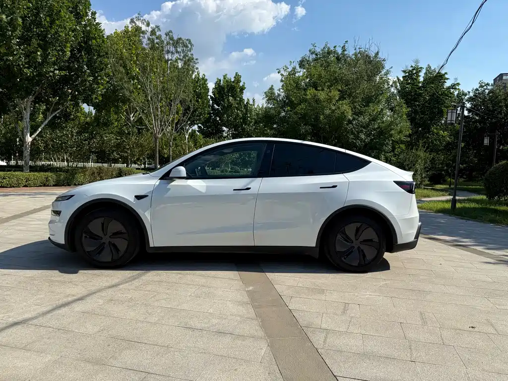 Tesla Model Y — миниатюра 5