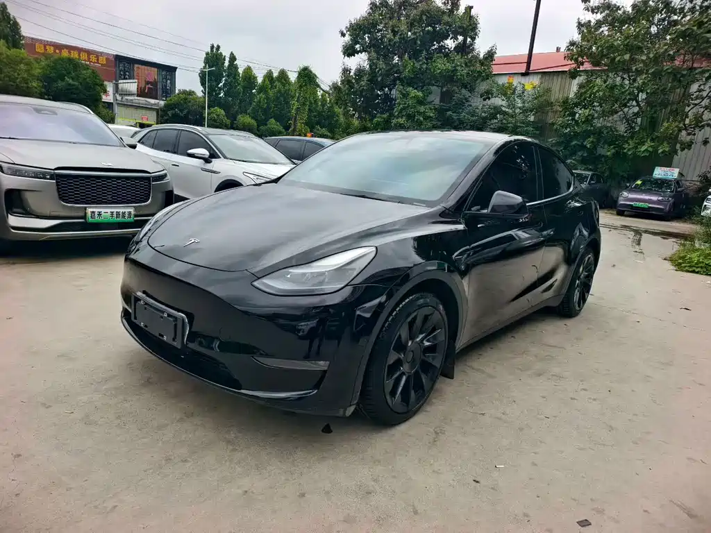 Tesla Model Y — миниатюра 3