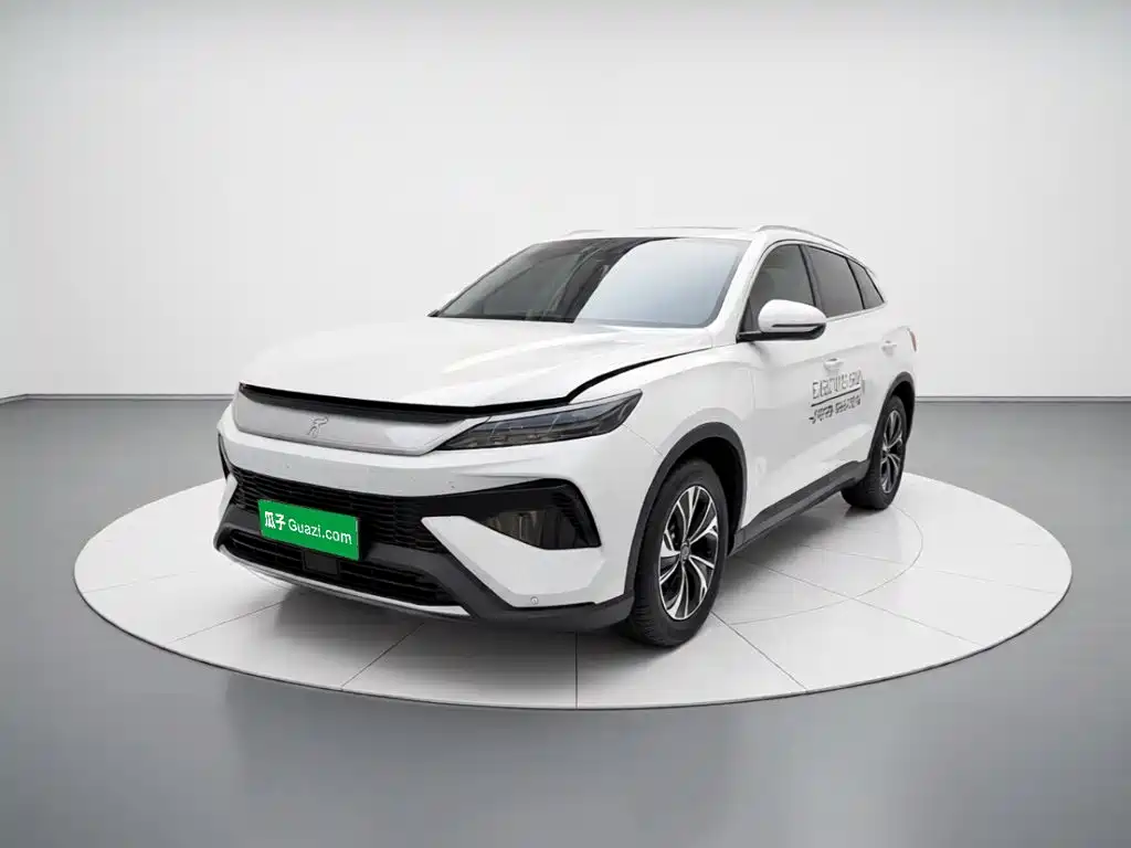 BYD Pro New Energy