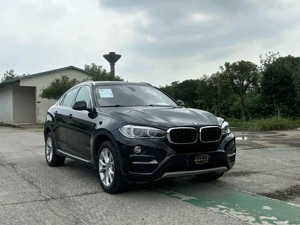 BMW X6 — миниатюра 3