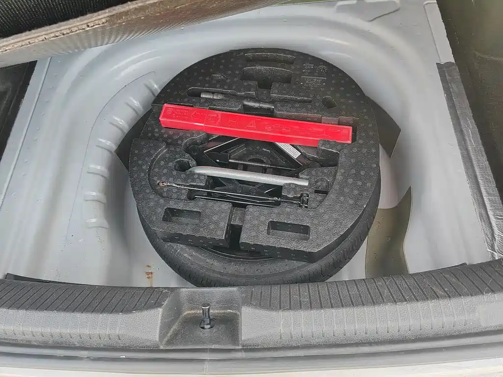 VOLKSWAGEN LAVIDA PURE ELECTRIC