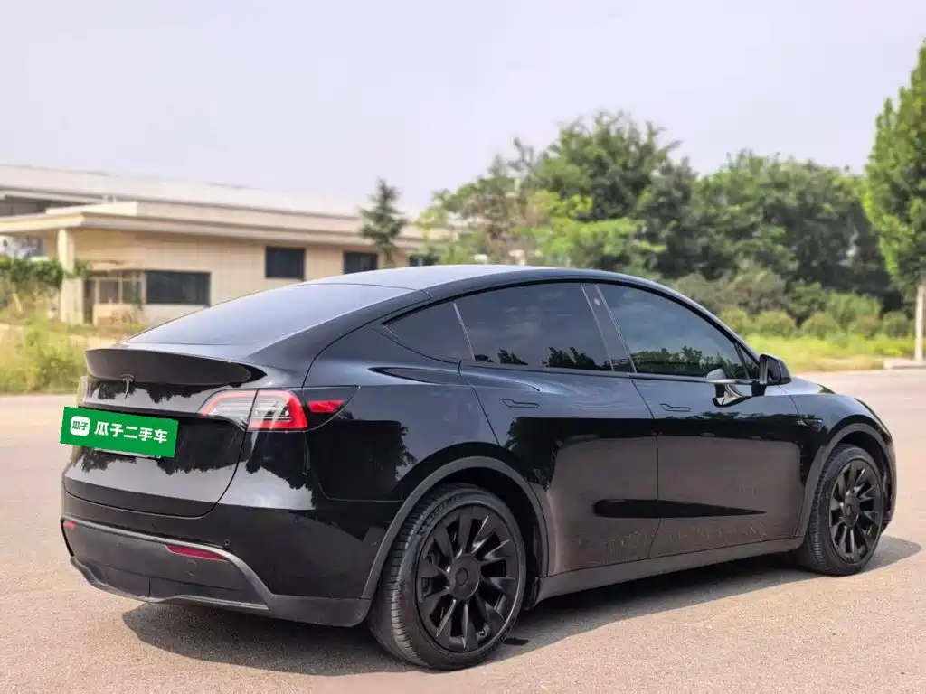 Tesla Model Y — миниатюра 7