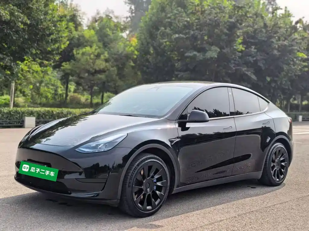 Tesla Model Y — миниатюра 2
