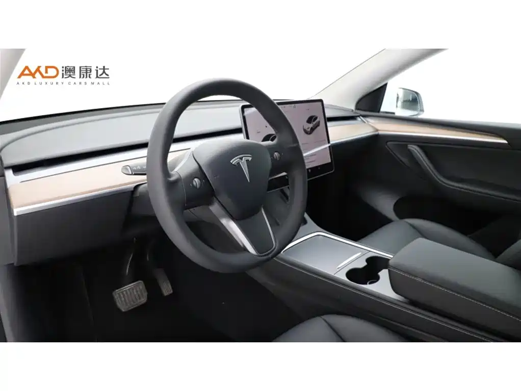 Tesla Model Y — миниатюра 6