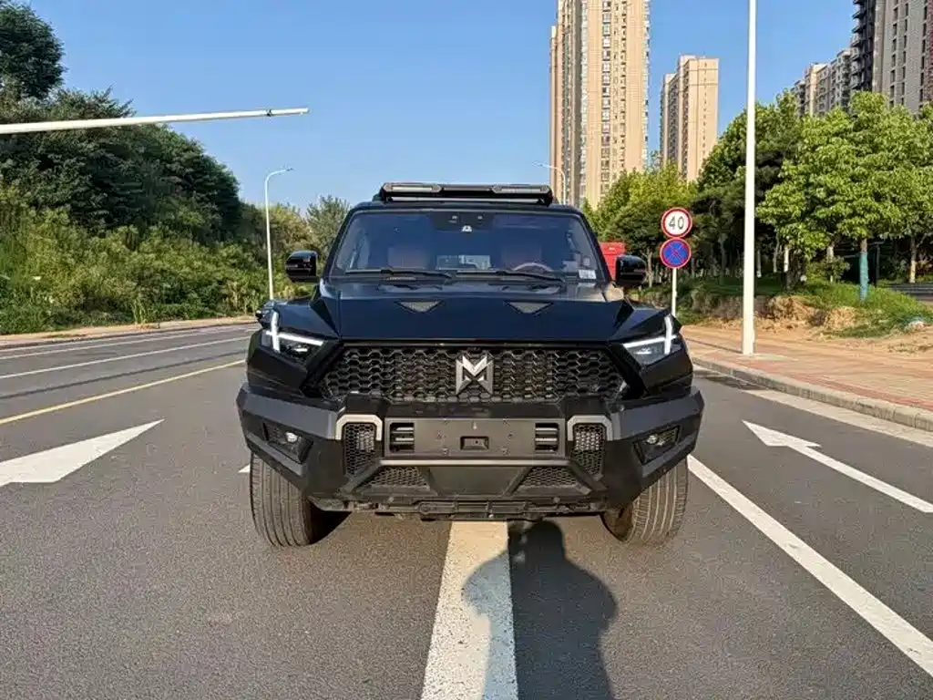 Mengshi Mengshi 917 — миниатюра 2