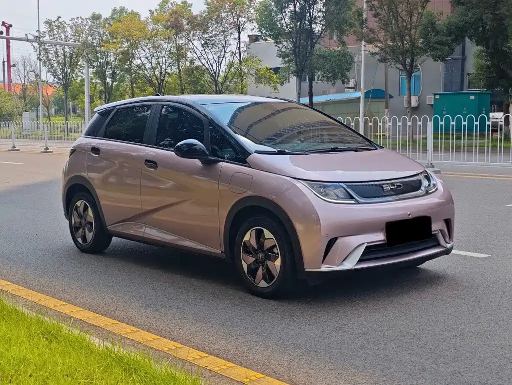 BYD Dolphin — миниатюра 3